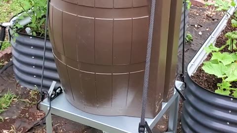 Implementing a rain barrel for the raised bed garden. #5