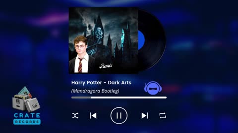 Harry Potter - Dark Arts (Mandragora Bootleg) | Crate Records