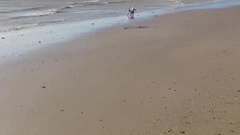 When you want to jump in the sea, but forget your scared of it