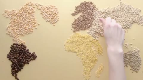 Global Food Crisis 2023