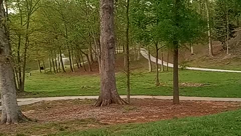 Maysville Georgia Park