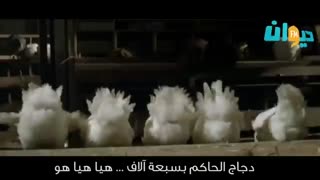 Dancing Chicken Song - J.Geco Arabic Remix