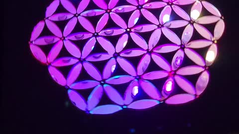 Backlit Flower of life