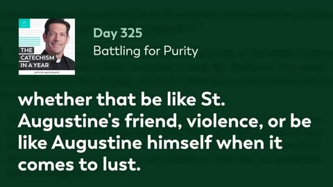 Day 325: Battling for Purity — The Catechism in a Year (with Fr. Mike Schmitz)