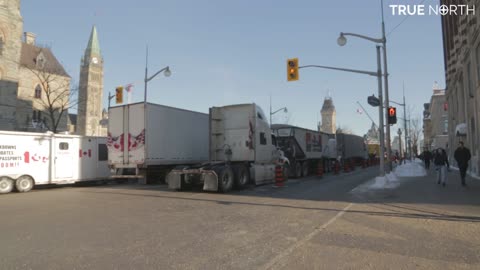 True North's Andrew Lawton is in Ottawa covering the Freedom Convoy