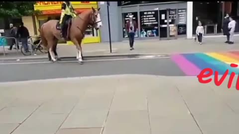 HORSE KNOWS EVIL! When they SEE IT!