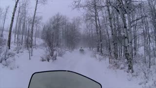 Crashed Snowmobile Into A Tree