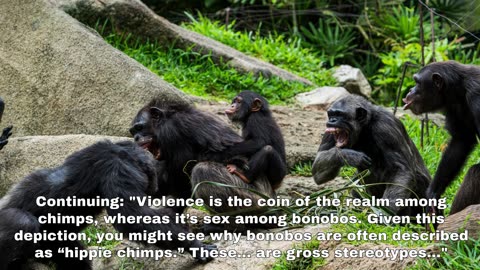 Bonobos are not Hippie Chimps