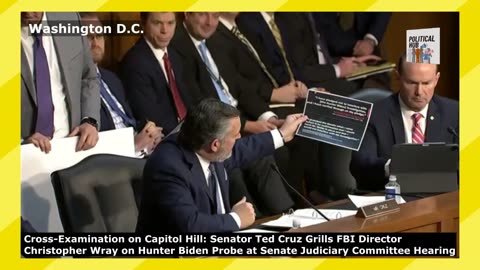 Sen. Ted Cruz Grills FBI Director Christopher Wray at Senate