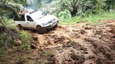 offroad mitsubishi in oil palm plantations