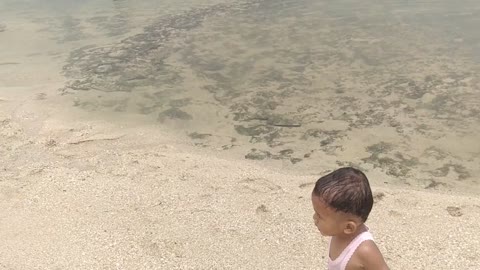 Children Playing On The Beach