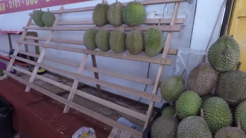 Durian cutting skill | malaysia local fruit durian | king of fruit | 马来西亚榴莲 | 开榴莲的技巧