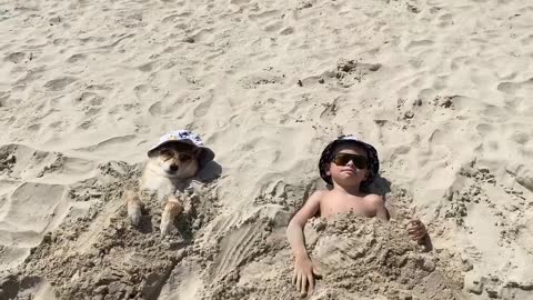 Shiba Inu Enjoys Day At The Beach With His Best Friend