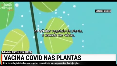 Vacina COVID nas PLANTAS