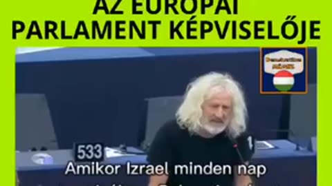 Mick Wallace az európai parlamentben