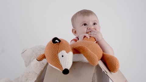 Portrait of a baby with teddies
