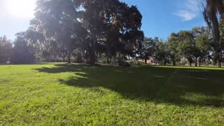 DJI Avata FPV Drone Test Flight