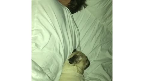 Snoring Pets & Husband