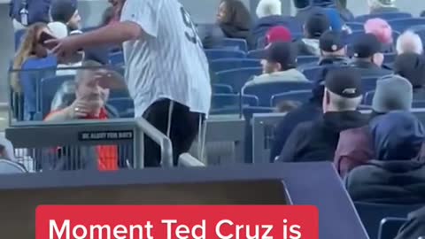 Moment Ted Cruz is booed at Yankee Stadium