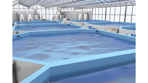 Factory Price ras fishing aquacultur,recirculating aquaculture system for indoor farm fish eWater