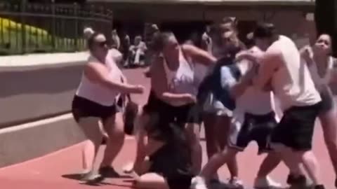 IT'S A BRAWL WORLD! Video Captures Wild Disneyland Fight, Strollers Caught in the Middle [WATCH]