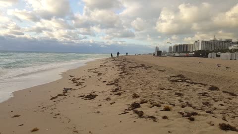calming waves South Beach florida
