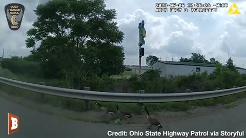 Ohio Police Officer CHASES GEESE Off Busy Highway