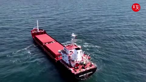 Ship carrying Ukrainian grain arrives in Turkey under 'humanitarian corridor'