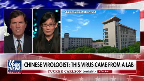 Virologist whistleblower says COVID-19 was intentionally created in Chinese lab