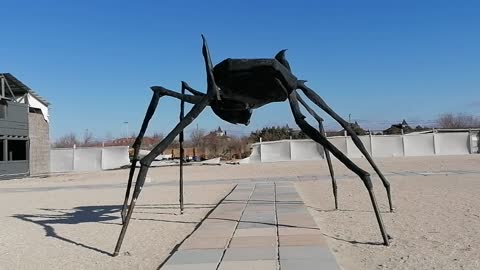 Mega spider in Z-City