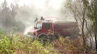 Firefighters from across Europe fight French wildfires