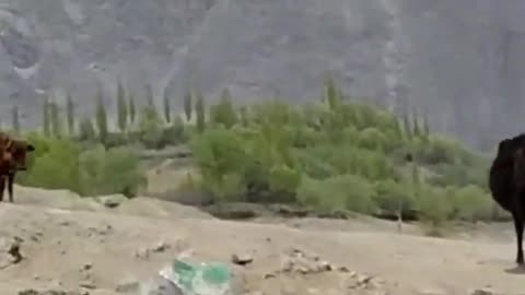 Chunda Valley part 2 - Skardu Pakistan