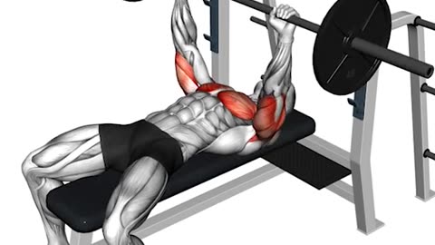 Build Massive Muscle with These 7 Highly Effective Exercises.
