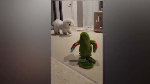 The dog barks at the toy and the toy also barks at the dog rumble viral