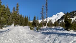 Idyllic Alpine Winter Wonderland – Mount Hood – Oregon – 4K