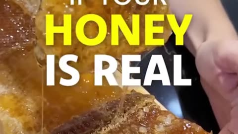 Is Your Honey Real? Take the Honey Test and Report Big Food Fraudsters