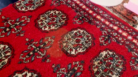 How to Wash your Persian Carpet at home without damaging it.