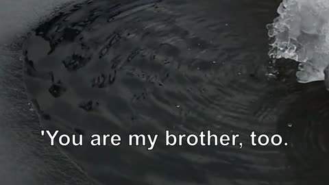 I really like you,' he said. 'You are my brother, too.