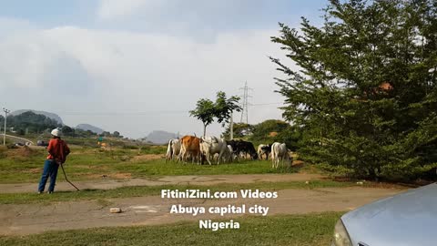 #fitinizini in #Abuya #Abuja #Nigeria #Africa #fitinizini.com #Fitinizinicom #fitini #ecowas #cedeao #ナイジェリア #アフリカ #나이지리아 #아프리카 #ไนจีเรีย #แอฟริกา #尼日利亞 #非洲