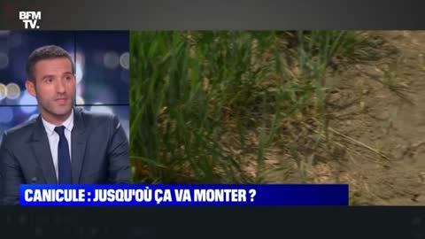 Un journaliste se lâche sur BFM