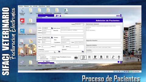 Proceso de Pacientes - Explicacion Sifaci Veterinaria 4_6_1 con FE
