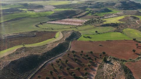 spain rural agricultural landscape teruel province olive trees and farming lands countryside
