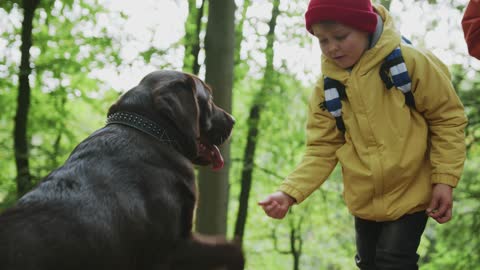 Man's finest friend is a nice dog