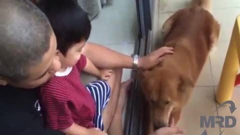 Dog Playing Baby Its just not a pet its a good friend