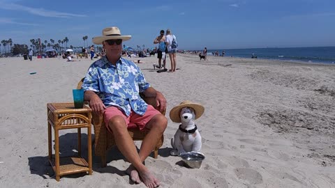 #095 Rosie's Dog Beach, Long Beach, California.