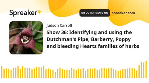 Show 36: The Dutchman's Pipe, Barberry, Poppy and bleeding Hearts families of herbs 2