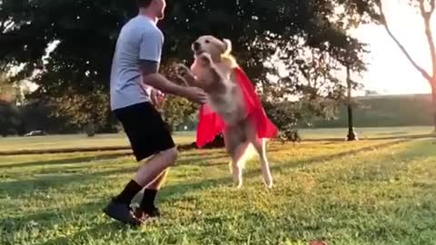 HERE COMES THE FLYING DOG.mp4