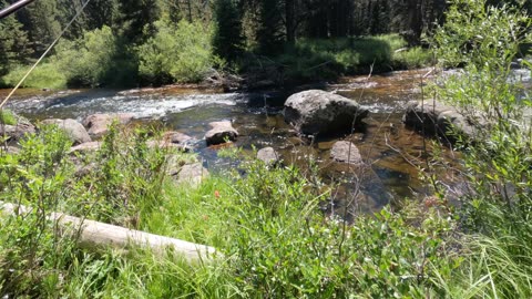 Fly Fishing the Bighorn Mountains
