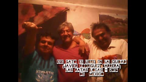 ESE ESE GATO ES LIBRE EN LA CIUDAD - (Javier Rodriguez Barrera).D.R. 2016 MÉXICO.