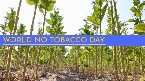 Wondering how to make a difference? Make World No Tobacco Day